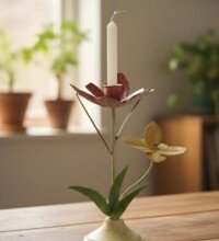 Home img 3123 (1)
